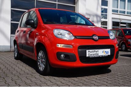 Fiat Panda Gebrauchtwagen