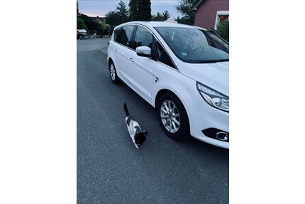 Ford S-Max Gebrauchtwagen