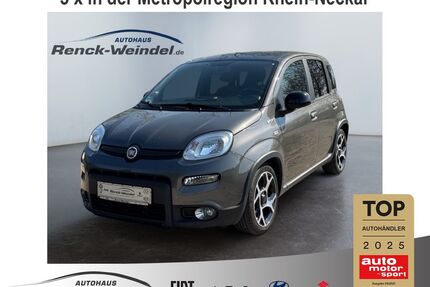 Fiat Panda Gebrauchtwagen