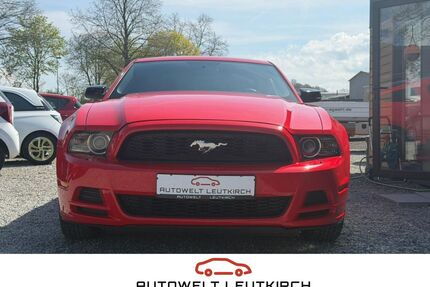 Ford Mustang Gebrauchtwagen
