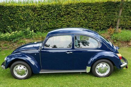 VW Käfer Gebrauchtwagen