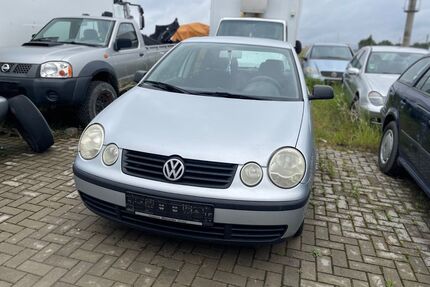 VW Polo Gebrauchtwagen