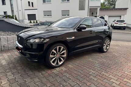 Jaguar F-Pace Gebrauchtwagen