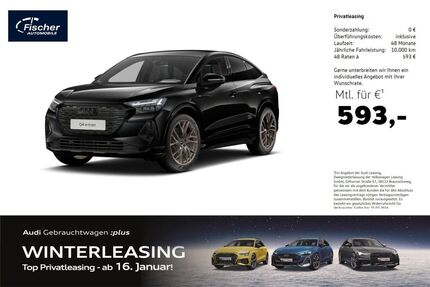 Audi Q4 e-tron Gebrauchtwagen