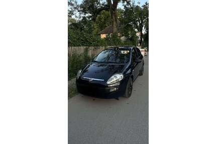 Fiat Punto Gebrauchtwagen