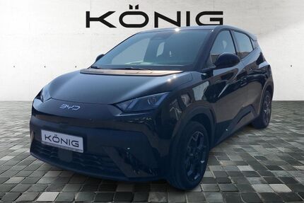 BYD DOLPHIN Gebrauchtwagen