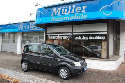 Fiat Panda Gebrauchtwagen