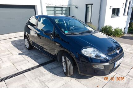 Fiat Punto Gebrauchtwagen