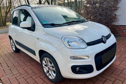 Fiat Panda Gebrauchtwagen