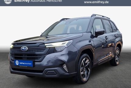 Subaru Forester Gebrauchtwagen