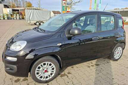 Fiat Panda Gebrauchtwagen