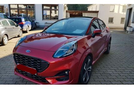 Ford Puma Gebrauchtwagen