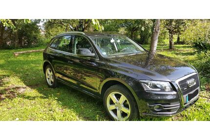Audi Q5 Gebrauchtwagen