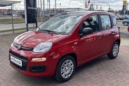 Fiat Panda Gebrauchtwagen
