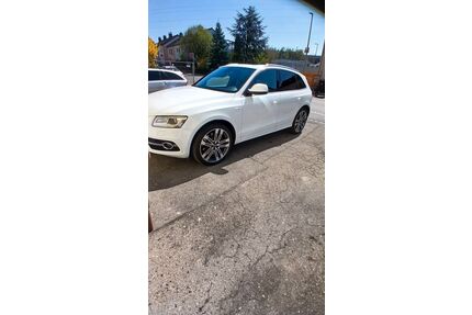 Audi SQ5 Gebrauchtwagen