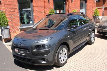 Citroen C4 Cactus Gebrauchtwagen