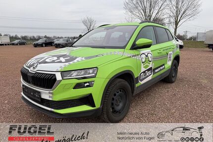 Skoda Karoq Gebrauchtwagen