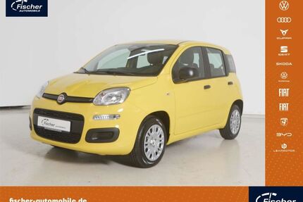 Fiat Panda Gebrauchtwagen