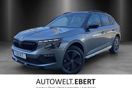 Skoda Kamiq Gebrauchtwagen