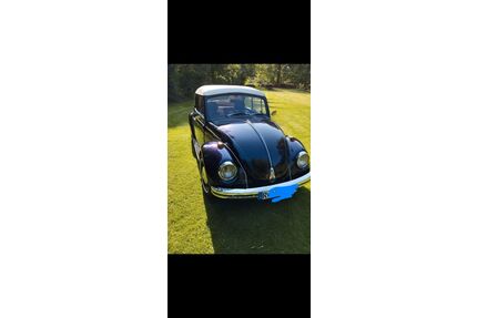 VW Käfer Gebrauchtwagen
