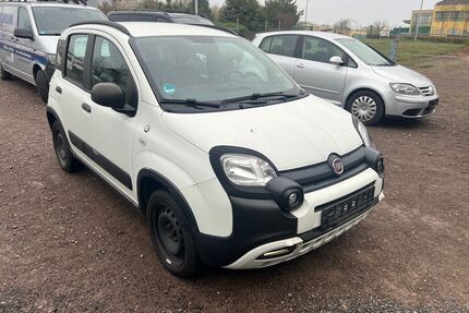Fiat Panda Gebrauchtwagen