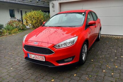 Ford Focus Gebrauchtwagen