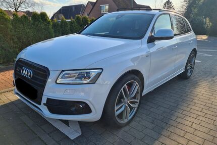 Audi SQ5 Gebrauchtwagen
