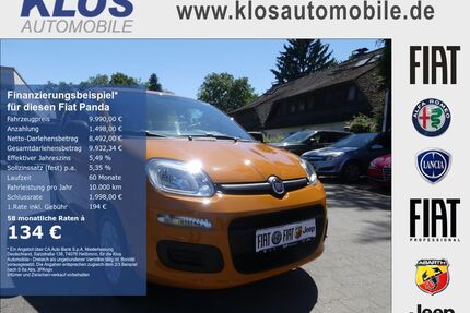Fiat Panda Gebrauchtwagen