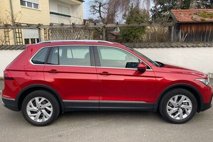 VW Tiguan Gebrauchtwagen