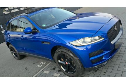 Jaguar F-Pace Gebrauchtwagen
