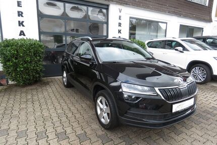 Skoda Karoq Gebrauchtwagen