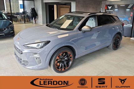 Cupra Terramar Gebrauchtwagen