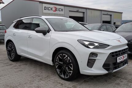 Cupra Terramar Gebrauchtwagen