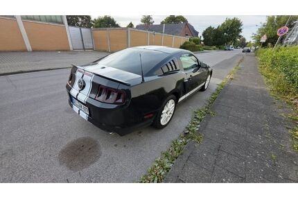Ford Mustang Gebrauchtwagen
