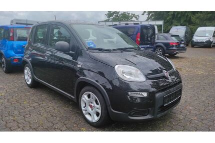 Fiat Panda Gebrauchtwagen