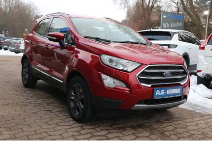 Ford EcoSport Gebrauchtwagen