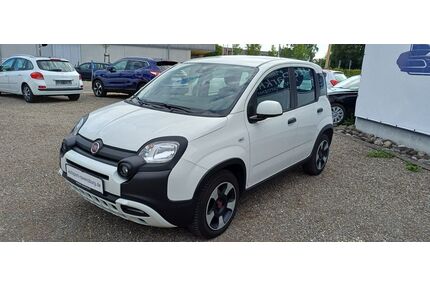 Fiat Panda Gebrauchtwagen