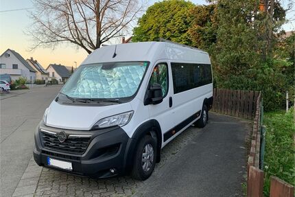 Opel Movano Gebrauchtwagen