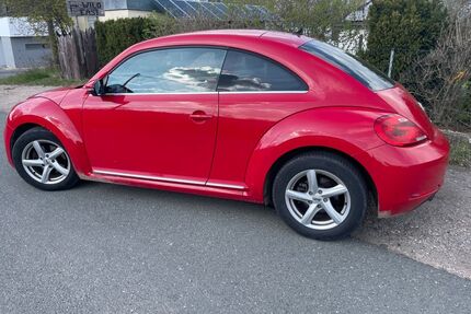 VW Beetle Gebrauchtwagen