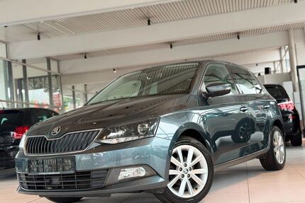 Skoda Fabia Gebrauchtwagen