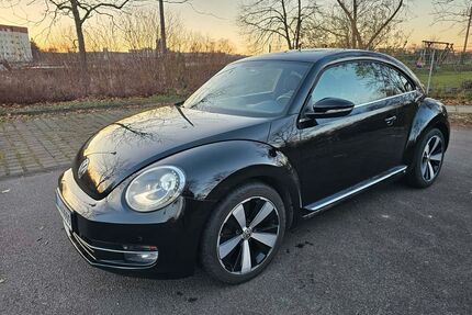 VW Beetle Gebrauchtwagen