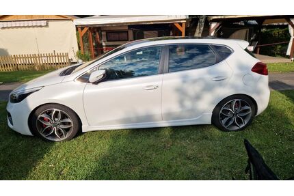 Kia ceed / Ceed Gebrauchtwagen