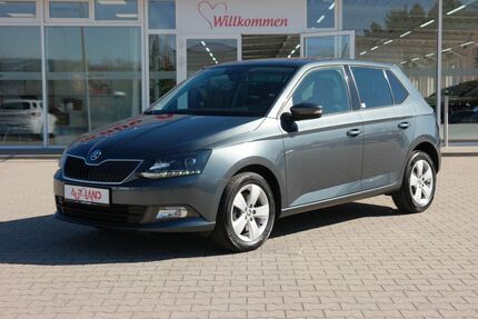 Skoda Fabia Gebrauchtwagen