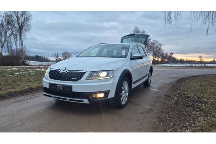 Skoda Octavia Gebrauchtwagen