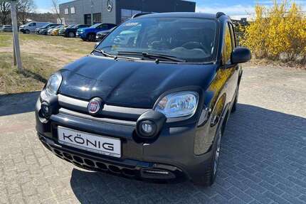 Fiat Panda Gebrauchtwagen