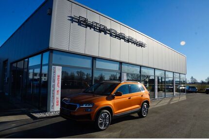 Skoda Karoq Gebrauchtwagen