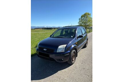 Ford Fusion Gebrauchtwagen
