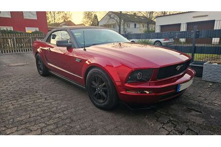 Ford Mustang Gebrauchtwagen
