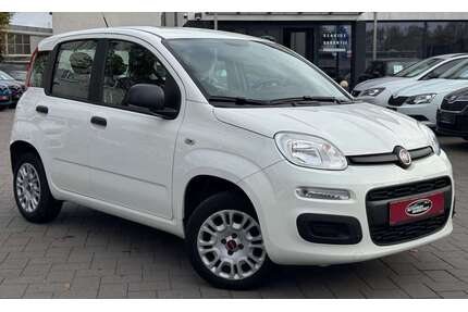 Fiat Panda Gebrauchtwagen