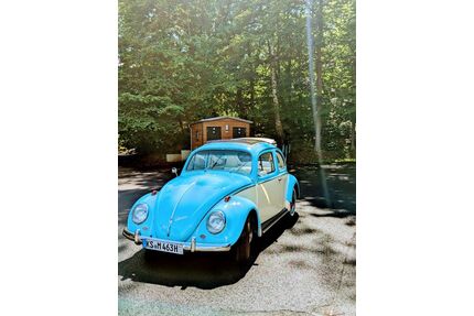 VW Käfer Gebrauchtwagen